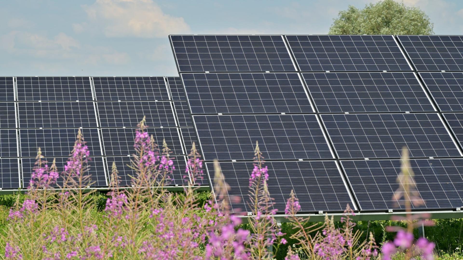 Solar Farm
