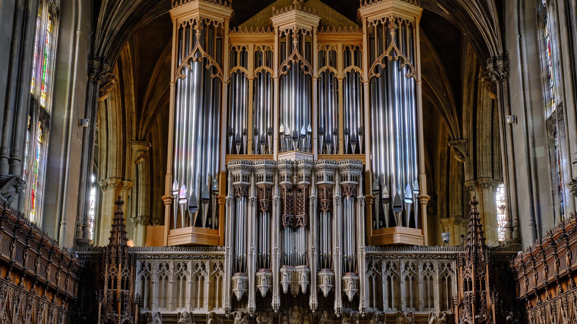 Organ