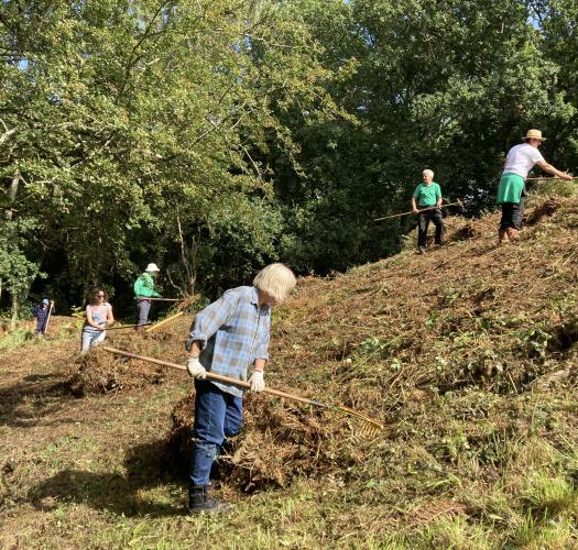 Volunteers clearing vegetation.