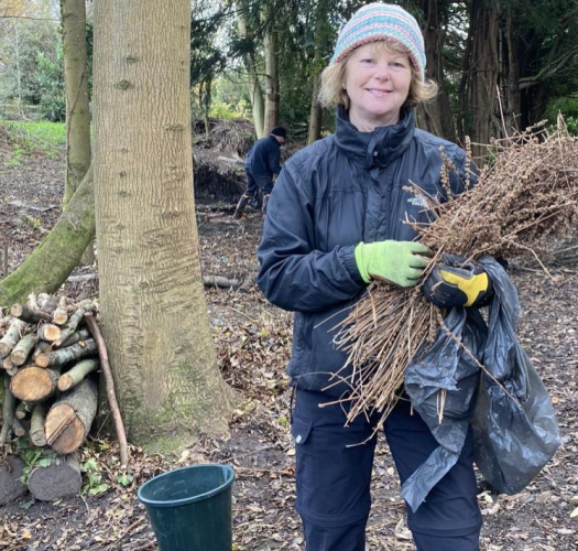 Volunteer holding branches