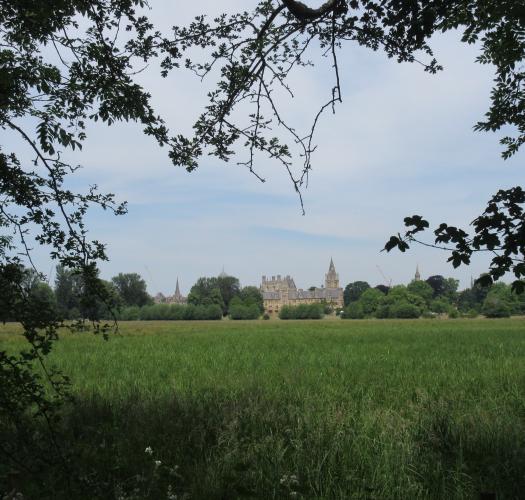 Christ Church Meadow