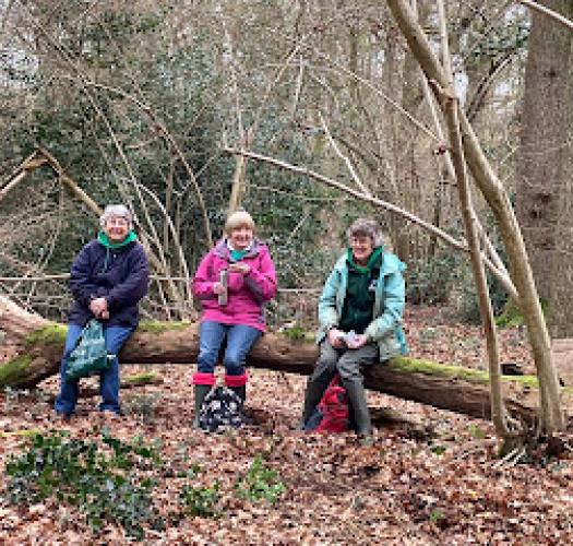 Volunteers sat on a tree trunk