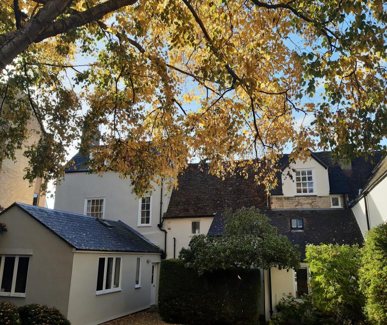 An Image of the turn again lane gardens with the offices in the background