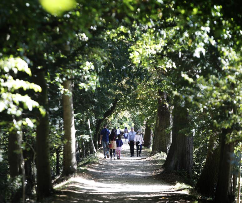 People walking in green spaces