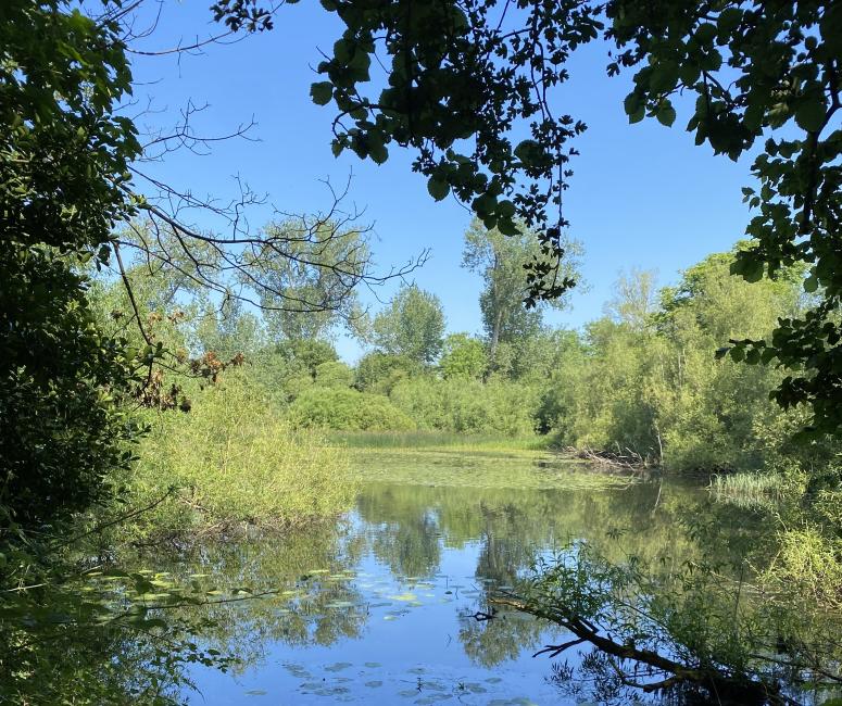 Wolvercote Lakes