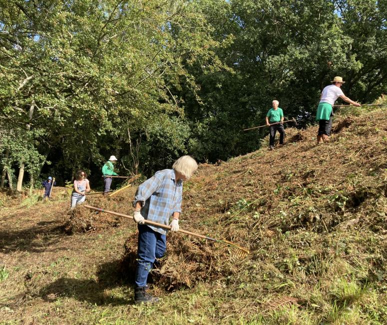 Volunteers clearing vegetation.
