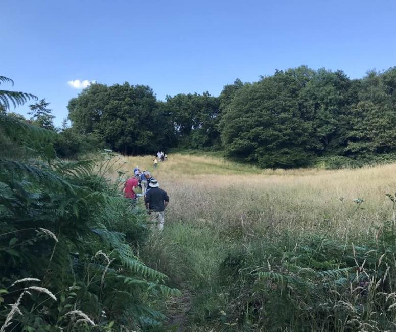 People in a field