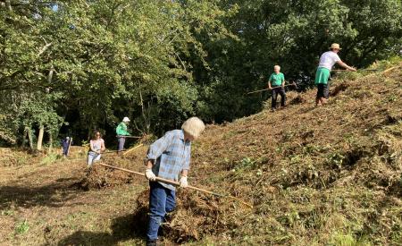 Volunteers clearing vegetation.