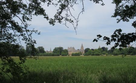 Christ Church Meadow