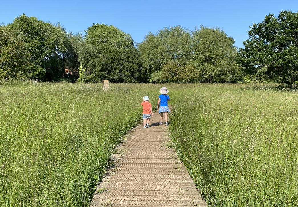 children playing in meadow