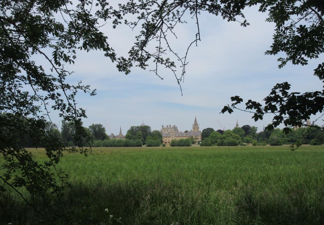 Christ Church Meadow