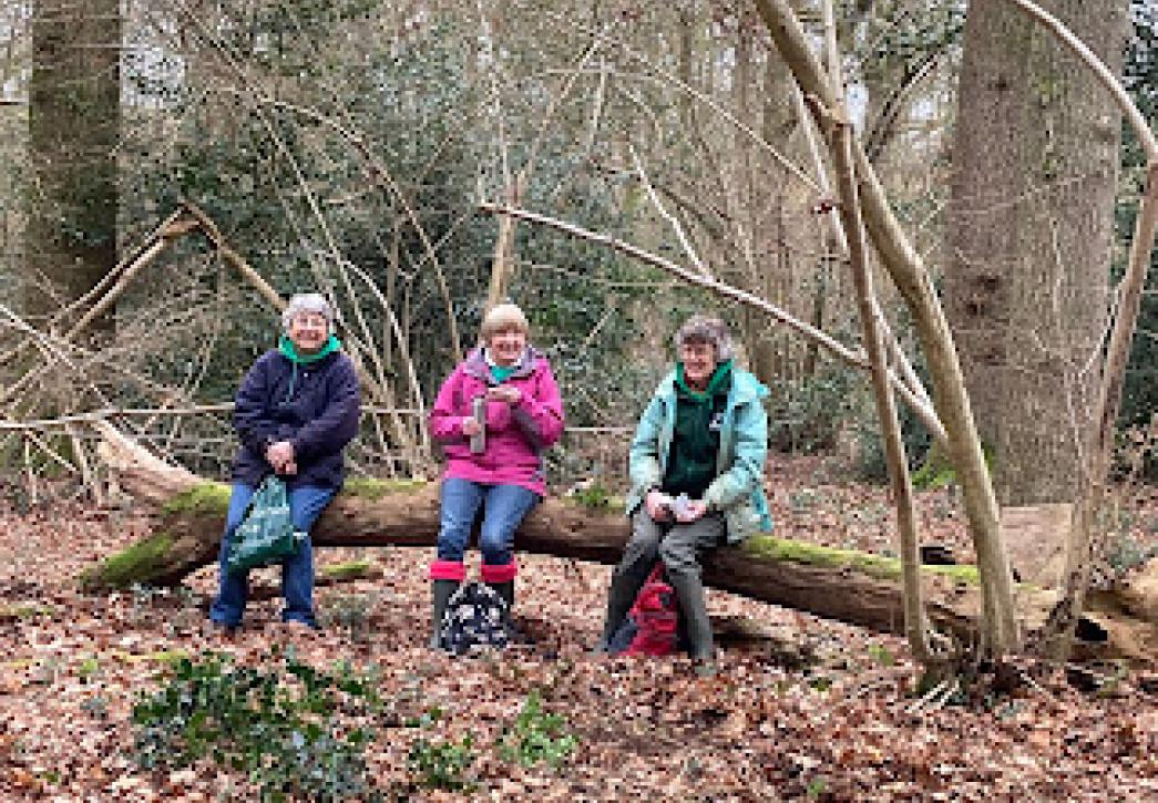 Volunteers sat on a tree trunk