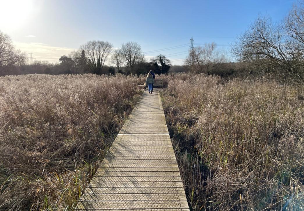 Heyford Meadow in Winter